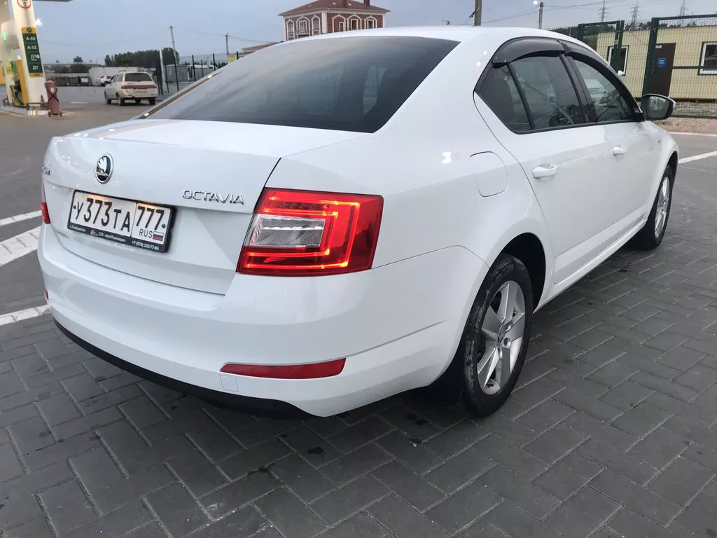 Аренда Skoda Octavia #1823 в аэропорту Симферополя, Крым ➤ TakeCars.com