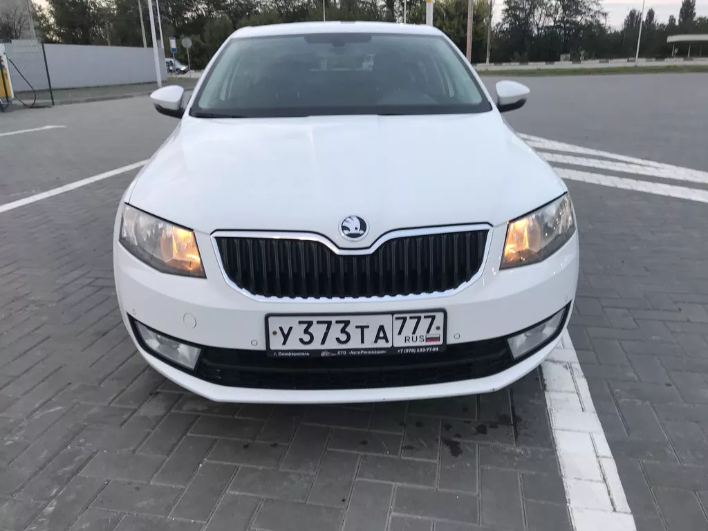 Аренда Skoda Octavia #1823 в аэропорту Симферополя, Крым ➤ TakeCars.com