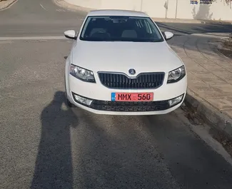 Sprednji pogled najetega avtomobila Skoda Octavia v v Pafosu, Ciper ✓ Avtomobil #2670. ✓ Menjalnik Priročnik TM ✓ Mnenja 1.