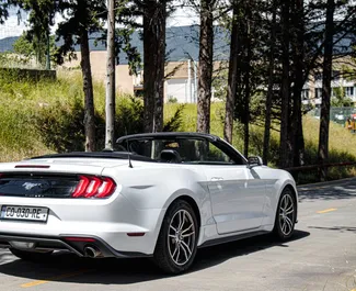 إيجار Ford Mustang Cabrio. سيارة بريميوم, الرفاهية, كابريو للإيجار في في جورجيا ✓ بدون إيداع ✓ خيارات التأمين TPL, إف دي دبليو, السرقة, الشباب.