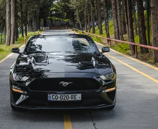 Araç Kiralama Ford Mustang Cabrio #8031 Otomatik Tiflis'te, 2,3L motor ile donatılmış ➤ Tamta tarafından Gürcistan'da.