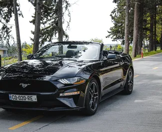 Автопрокат Ford Mustang Cabrio в Тбилиси, Грузия ✓ №8031. ✓ Автомат КП ✓ Отзывов: 1.