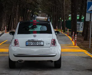 조지아에서에서 대여하는 Fiat 500 Cabrio 2013 차량, 특징: ✓Petrol 연료 및 133마력 ➤ 하루 79 GEL부터 시작.