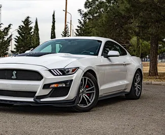 Μπροστινή όψη ενοικιαζόμενου Ford Mustang Coupe στην Τιφλίδα, Γεωργία ✓ Αριθμός αυτοκινήτου #9877. ✓ Κιβώτιο ταχυτήτων Αυτόματο TM ✓ 0 κριτικές.