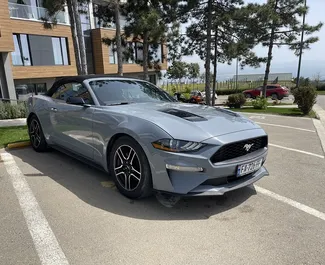 Sprednji pogled najetega avtomobila Ford Mustang Cabrio v v Tbilisiju, Georgia ✓ Avtomobil #6323. ✓ Menjalnik Samodejno TM ✓ Mnenja 2.