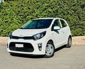 Vista frontal de un Kia Picanto de alquiler en Casablanca, Marruecos ✓ Coche n.º 11045. ✓ Automático TM ✓ 0 opiniones.