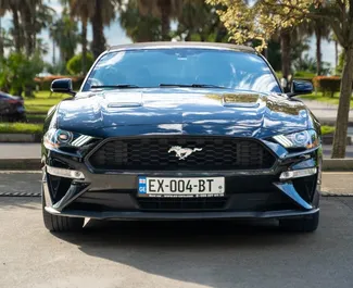Priekinė automobilio, kurį nuomojate Ford Mustang Cabrio Batumyje, Gruzija vaizdas ✓ Automobilis #14449. ✓ Pavarų dėžė Automatinis TM ✓ Atsiliepimai 0.