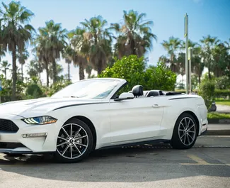 Front view of a rental Ford Mustang Cabrio in Batumi, Georgia ✓ Car #14448. ✓ Automatic TM ✓ 0 reviews.