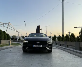 Μπροστινή όψη ενοικιαζόμενου Ford Mustang Cabrio στην Τιφλίδα, Γεωργία ✓ Αριθμός αυτοκινήτου #14444. ✓ Κιβώτιο ταχυτήτων Αυτόματο TM ✓ 0 κριτικές.