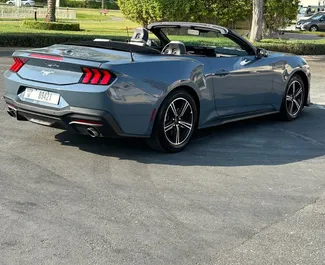 Biluthyrning Ford Mustang Cabrio #14504 med Automatisk i Dubai, utrustad med 2,3L motor ➤ Från Lasha i Förenade Arabemiraten.