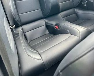 Uthyrning av Ford Mustang Cabrio. Premium, Lyx, Cabriolet bil för uthyrning i Vitryssland ✓ Utan deposition ✓ Försäkringsalternativ: TPL, CDW.