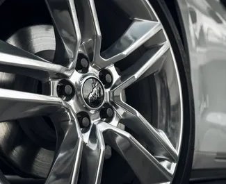 Ford Mustang GT Cabrio 租赁。在 在格鲁吉亚 出租的 高级, 豪华, 敞篷车 汽车 ✓ Deposit of 550 GEL ✓ 提供 TPL, Young 保险选项。