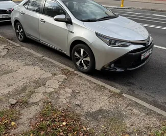 Nomas automašīnas priekšskats Toyota Corolla Sedan Minskā, Baltkrievija ✓ Automašīna #15796. ✓ Pārnesumu kārba Automātiskais TM ✓ Atsauksmes 0.