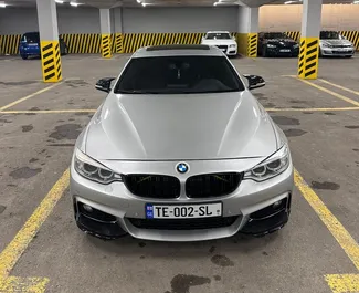 Двигатель Бензин 2,0 л. – Арендуйте BMW 420i Gran Coupe в Тбилиси.