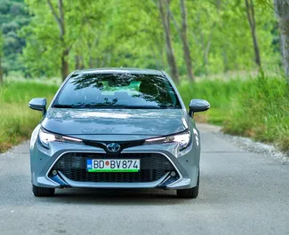 Frontvisning av en leiebil Toyota Corolla i Becici, Montenegro ✓ Bil #15930. ✓ Automatisk TM ✓ 0 anmeldelser.