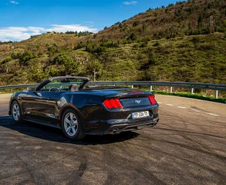 Benzinas 2,3L variklis Ford Mustang Cabrio 2018 nuomai Tbilisyje.