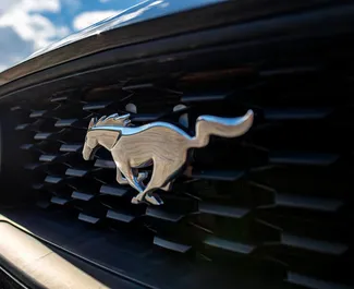 Ford Mustang Cabrio nuoma. Premium, Prabangus, Kabrioletas automobilis nuomai Gruzijoje ✓ Depozitas 560 GEL ✓ Draudimo pasirinkimai: TPL, CDW, SCDW, FDW, Keleiviai, Vagystė.