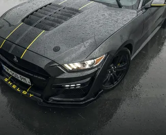 Front view of a rental Ford Mustang Shelby GT500 in Tbilisi, Georgia ✓ Car #16941. ✓ Automatic TM ✓ 0 reviews.