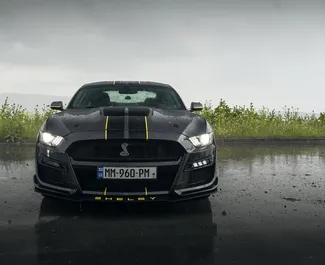 Ford Mustang Shelby GT500 2016 car hire in Georgia, featuring ✓ Petrol fuel and 356 horsepower ➤ Starting from 200 GEL per day.